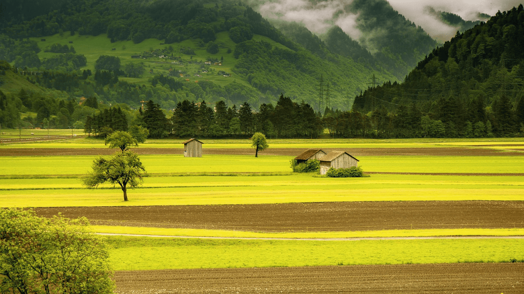Agritourism in India: Embracing Rural Charm with Modern&nbsp;Innovation